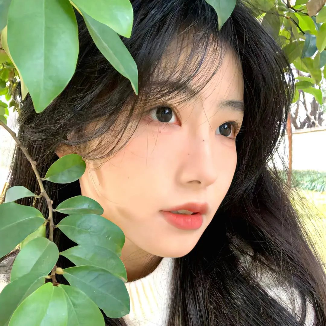 欢迎来到超自然森林